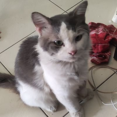 idosol50's profile picture. 