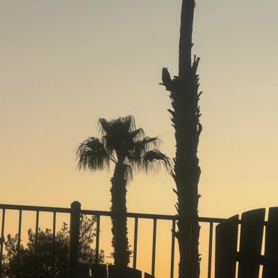oconnogp's profile picture. Long suffering White Sox fan