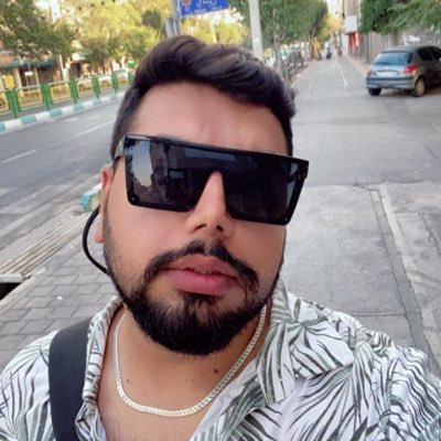 shahinramzanian's profile picture. instagram/pv.shahinn