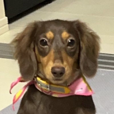 STstance's profile picture. 