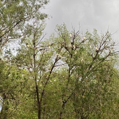 Mexicano. Amante de la filosofía. La vida es mejor con un poco de poesía, amor y estrellas