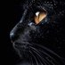 Pedro Porras (@pedroporra47522) Twitter profile photo