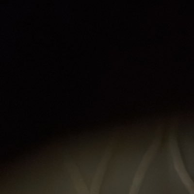 Moham32300Omar's profile picture. 