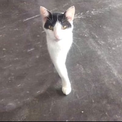 iluvsexyMEN69's profile picture. the user is a joke lol - i dislike a lot of ppl on twt. The world is cruel enough, therefore I won’t be. 🍅🍥