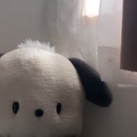 なな (@yo__ruu) 's Twitter Profile