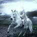 - (@pelitahati77) Twitter profile photo - (@pelitahati77) Twitter profile photo