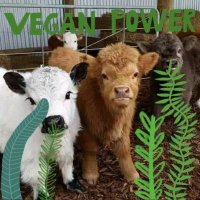 StopAnimalCruelty (@animalwarrior15) 's Twitter Profile