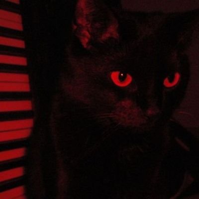 xd_sunnywww's profile picture. I just see weird posts.