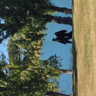 whispers0fwords's profile picture. phrases just flutter in my mind🫧