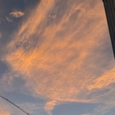 doryokumirailaw's profile picture. R4予備R5司法77期修習