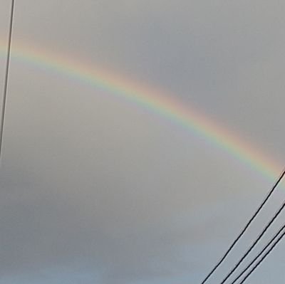 tamacyan196709's profile picture. せんば