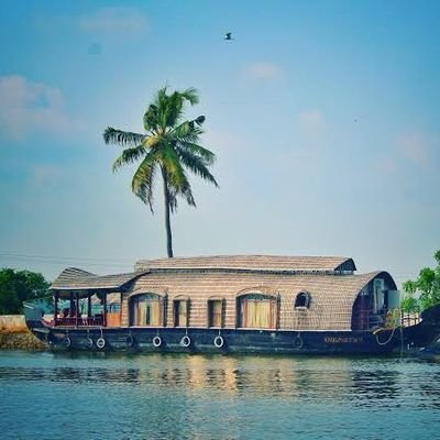 my37833's profile picture. News Junkie, Food, Fashion & India