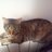 lorenna912's profile image