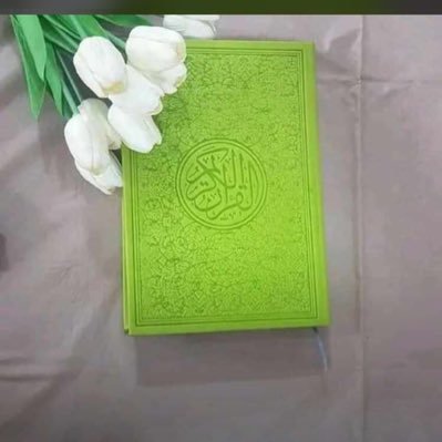 Crypto_is_Halal's profile picture. 