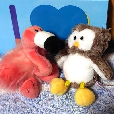 はめのふさんのプロフィール画像