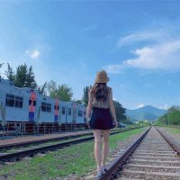 はるこ (@haruko313901) 's Twitter Profile