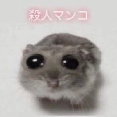 助手ちゃんMk-IIの跡地さんのプロフィール画像