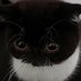 Rhu (@destrezakhori) Twitter profile photo Rhu (@destrezakhori) Twitter profile photo