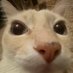 Saul (@saul1959_) Twitter profile photo Saul (@saul1959_) Twitter profile photo