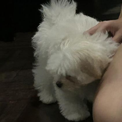 뺨さんのプロフィール画像