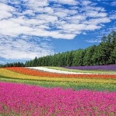副業で安定した収入を得る方法を紹介中。副業を始めたい人に有益な情報をお届け。ほんの僅かですが10万円プレゼント企画も実施中★ 詳しくはこちらから▷ https://t.co/mE9NV6Yaey