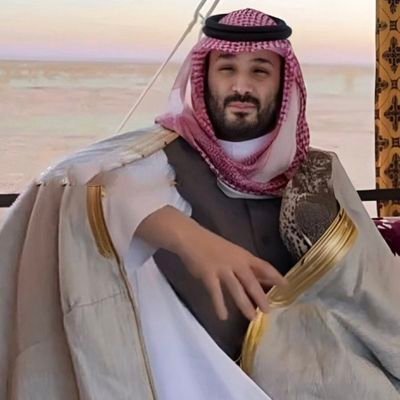 رخصة فال 1100264570
