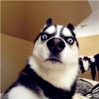 CryptoGenius77's profile picture. Blockchain enthusiast & crypto dreamer.”