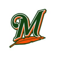 Minesing Fastball (@mallardfastball) 's Twitter Profile