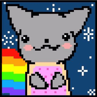 Amo la musica me gustan mucho los videojuegos sobre todo los de pelea amante del anime y del manga desde que tengo 13 años amo las espadas y a los gatos