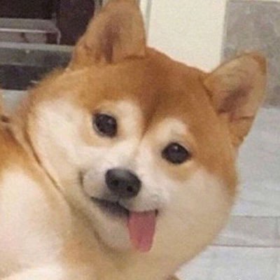 Zunndamochi_inu's profile picture. ENFP みんなが寝てる時間に起きてて、起きてる時間に寝てる