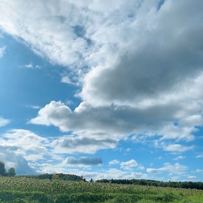 chiaki_ccccc's profile picture. ４人の子ども🩵結婚１１年目💍