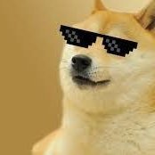 Barkydog is more than just a token,it's a community driven by fun, humor, and a love for all things doggo.