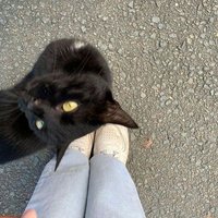 abeeya²⁷ ౨ৎ٭ (@lo3yjwon) 's Twitter Profile