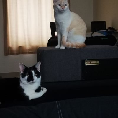 Gaz0240's profile picture. 