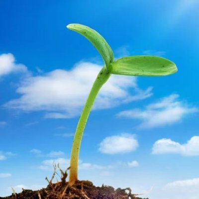 Traderkelly1314's profile picture. 波浪理论研究者，探究江恩之奥秘~~~

#crypto #bitcoin #btc #eth