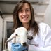 Priscila Ramos Ibeas (@prispi86) Twitter profile photo