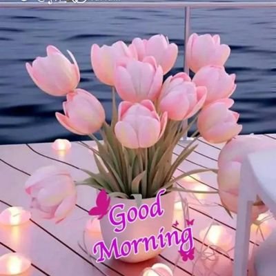 Gulabpatil11's profile picture. 