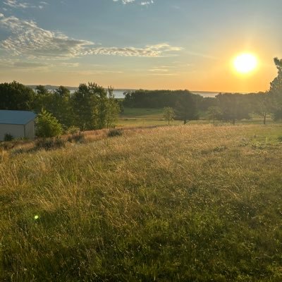 StephenPhi12382's profile picture. The 🐦‍🔥🏴‍☠️🤩