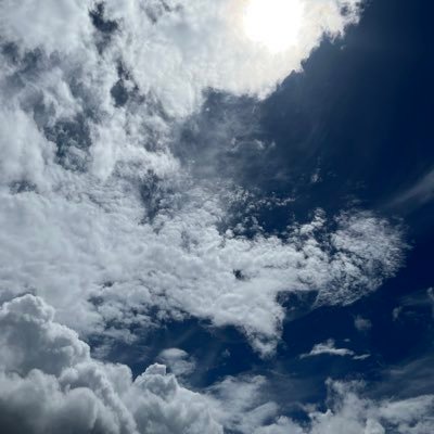 もこさんのプロフィール画像
