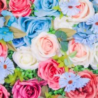 フユコ (@fuyuko510100) 's Twitter Profile