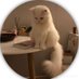 Abdul Basit (@abdul4226) Twitter profile photo Abdul Basit (@abdul4226) Twitter profile photo