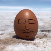 tj (@tj5995754582905) 's Twitter Profile Photo tj (@tj5995754582905) 's Twitter Profile Photo