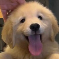 M. (@mntc04) 's Twitter Profile