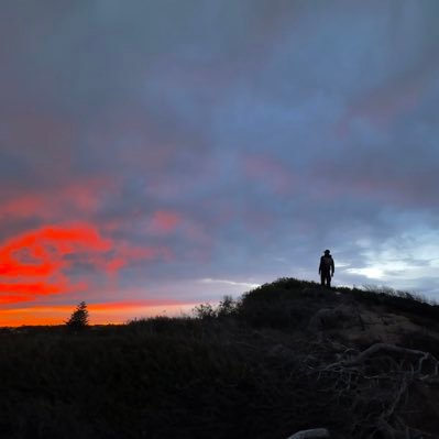 NevinUppal's profile picture. 