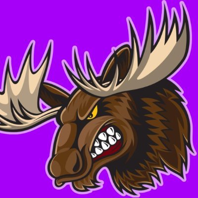 cz_moose's profile picture. FullStack Web3 Engineer | Web3 Security Researcher  | Solidity