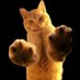 Marcelo (@marcelo_write) Twitter profile photo Marcelo (@marcelo_write) Twitter profile photo
