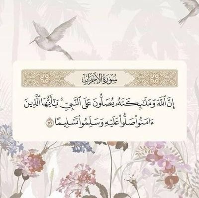 hnds236's profile picture. 🤲