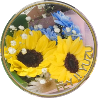 ((((にこ💗))))(にここ)🪽🍓🍮🎁🪽🏹🧊🪽 (@happy25heart) 's Twitter Profile Photo ((((にこ💗))))(にここ)🪽🍓🍮🎁🪽🏹🧊🪽 (@happy25heart) 's Twitter Profile Photo