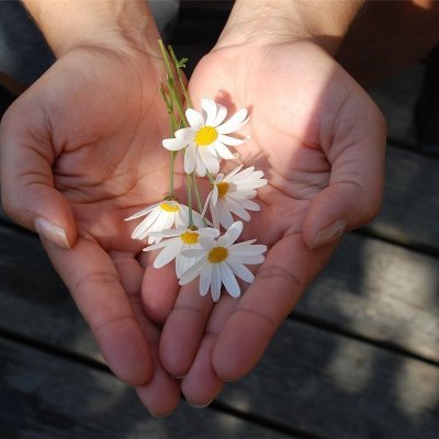 効率よくお金を増やす秘訣やおトク情報など教えたりしています。自分がお金に苦労した経験から生活に苦しんでいる人の力になれればと思い、多少ですが現金給付企画を実施中! 詳しくはココから▶ https://t.co/Hp4aDlr36g