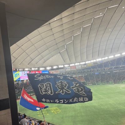 関東住みのドラゴンズファンの大学生です/今期42試合14勝26敗2分 サッカー垢▶︎@shu10_grampus